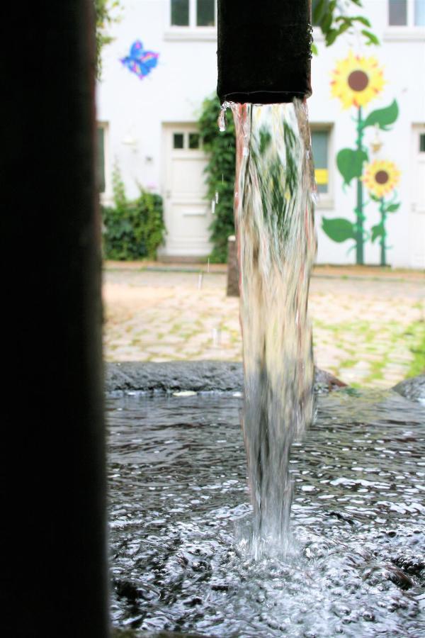 פלאנסבורג Zentrale Ferienwohnung Anker Im Sonnenblumenhaus מראה חיצוני תמונה